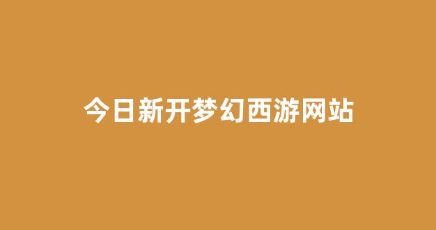 梦幻西游主页