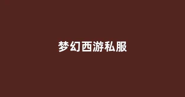 梦幻西游私网