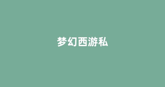 梦幻西游s