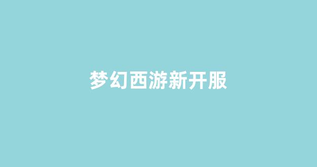 最新梦幻西游私服